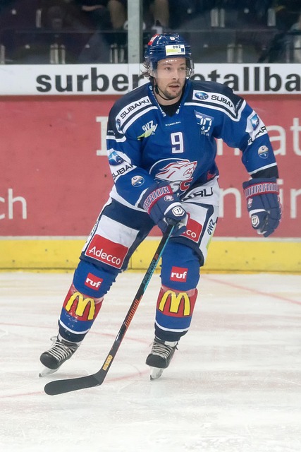 湖人队的内 湖人队的内